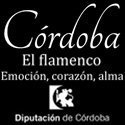 Diputación de Córdoba, flamenco